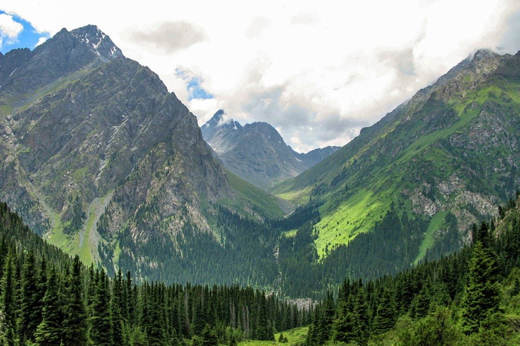 Altyn Arashan